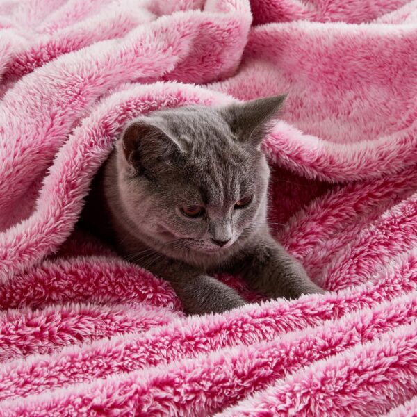 Plush Fuzzy Fleece Throw Blanket Extra Large, Super Soft, Fluffy and Warm Blankets for Couch, Bed, All Season Use (50x70 inches, Mixed Hot Pink) - Image 2